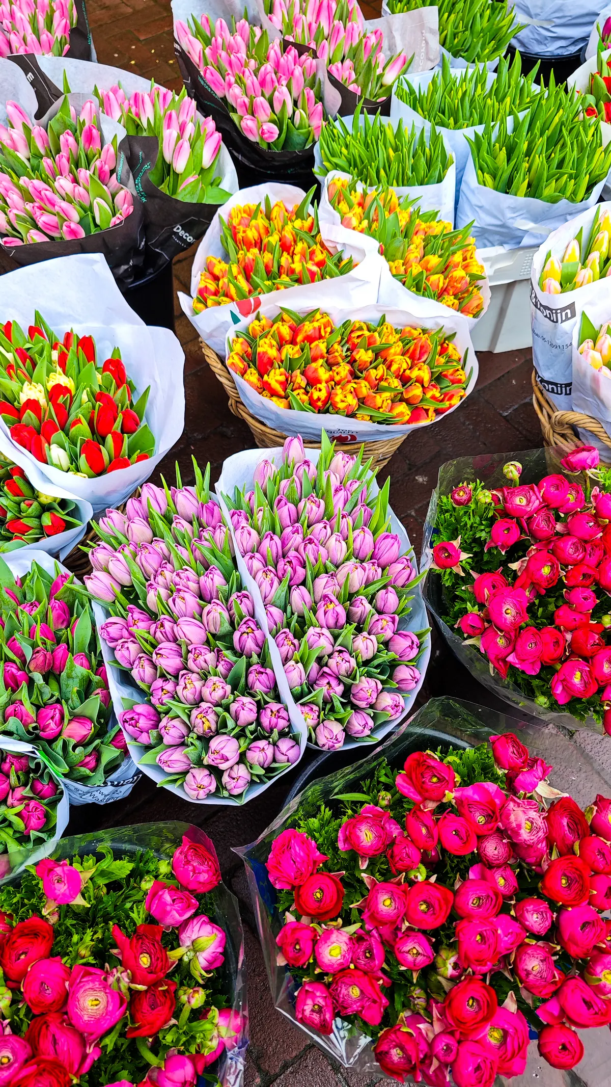 Marché aux fleurs avec tulipes colorées, inspiration pour choisir un bouquet — Jardin Secret d'Alésia